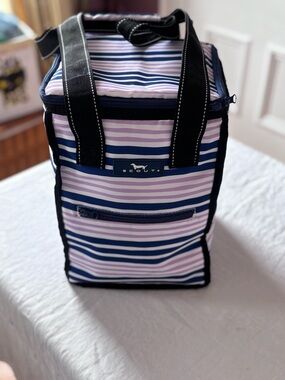 Scout Pleasure Chest Soft Insulated Cooler Bag Striped Pattern Velcro Handle